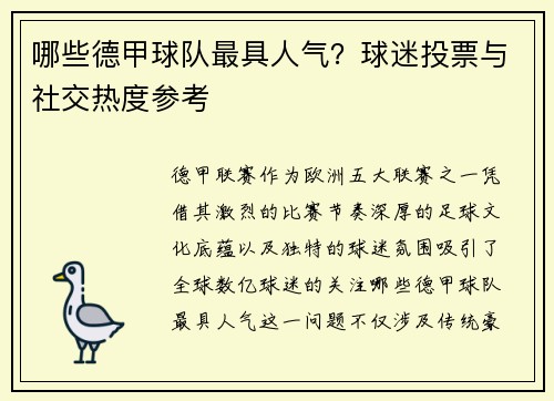 哪些德甲球队最具人气?球迷投票与社交热度参考