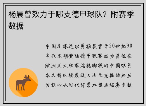 杨晨曾效力于哪支德甲球队？附赛季数据