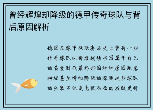 曾经辉煌却降级的德甲传奇球队与背后原因解析